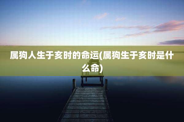 属狗人生于亥时的命运(属狗生于亥时是什么命)