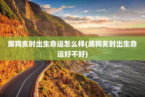 属狗亥时出生命运怎么样(属狗亥时出生命运好不好)
