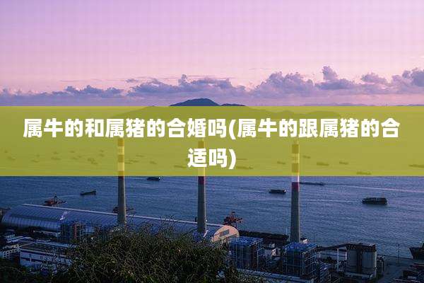 属牛的和属猪的合婚吗(属牛的跟属猪的合适吗)