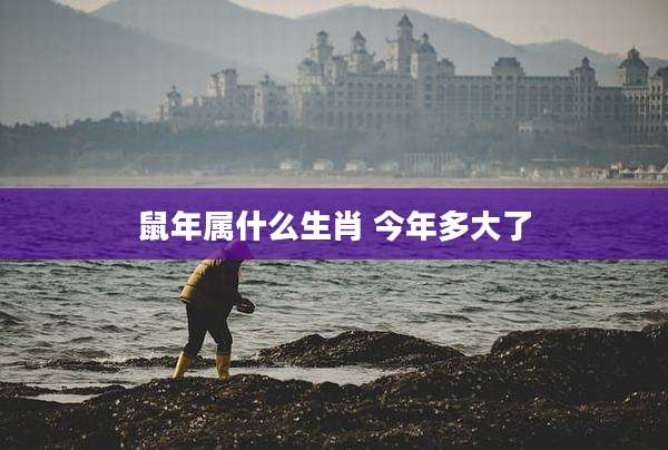 鼠年属什么生肖 今年多大了