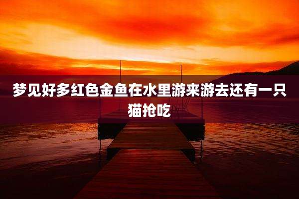 梦见好多红色金鱼在水里游来游去还有一只猫抢吃