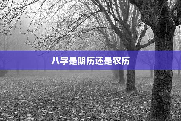 八字是阴历还是农历
