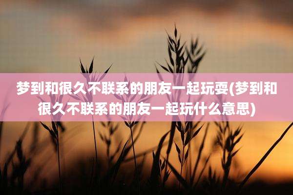 梦到和很久不联系的朋友一起玩耍(梦到和很久不联系的朋友一起玩什么意思)