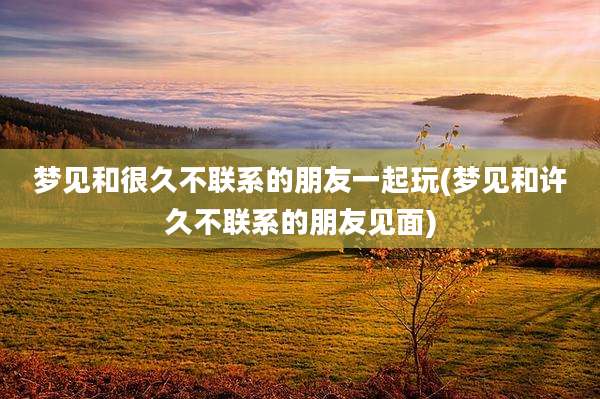 梦见和很久不联系的朋友一起玩(梦见和许久不联系的朋友见面)