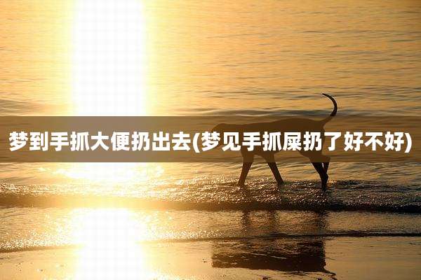 梦到手抓大便扔出去(梦见手抓屎扔了好不好)