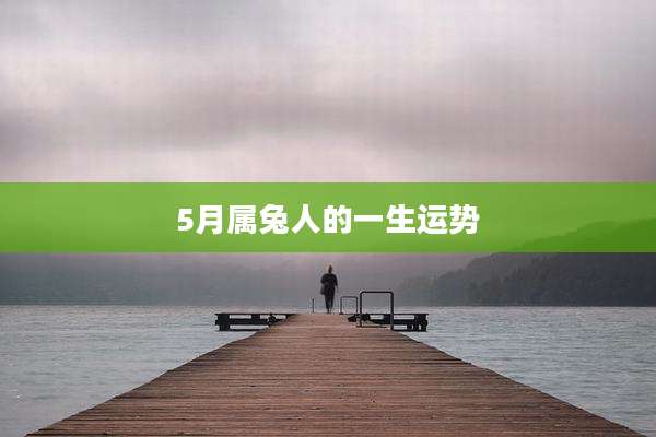 5月属兔人的一生运势
