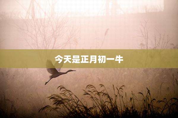 今天是正月初一牛