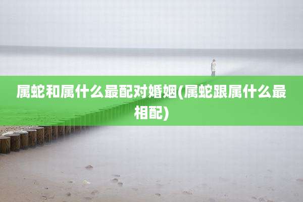 属蛇和属什么最配对婚姻(属蛇跟属什么最相配)