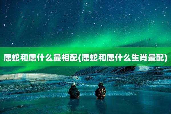 属蛇和属什么最相配(属蛇和属什么生肖最配)