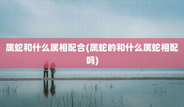 属蛇和什么属相配合(属蛇的和什么属蛇相配吗)