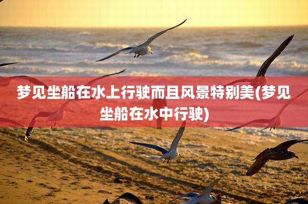 梦见坐船在水上行驶而且风景特别美(梦见坐船在水中行驶)