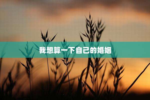 我想算一下自己的婚姻