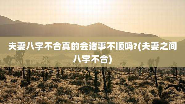 夫妻八字不合真的会诸事不顺吗?(夫妻之间八字不合)