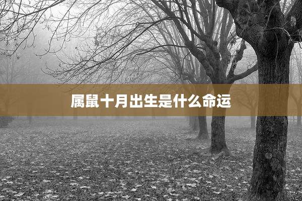 属鼠十月出生是什么命运