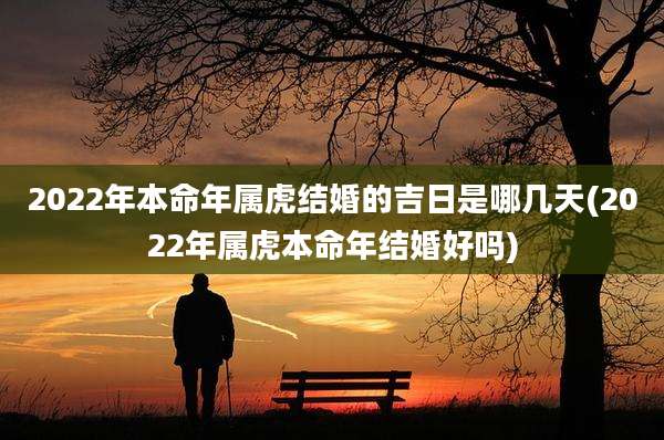 2022年本命年属虎结婚的吉日是哪几天(2022年属虎本命年结婚好吗)