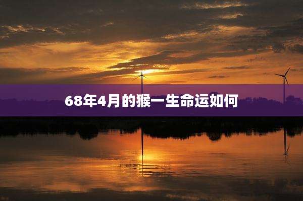 68年4月的猴一生命运如何