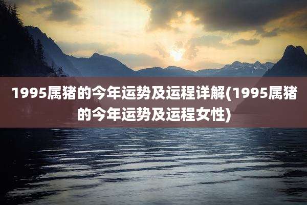 1995属猪的今年运势及运程详解(1995属猪的今年运势及运程女性)