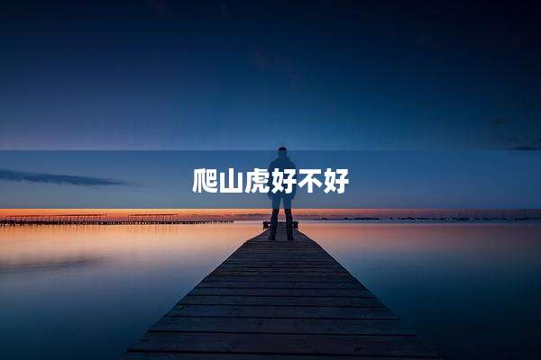 爬山虎好不好