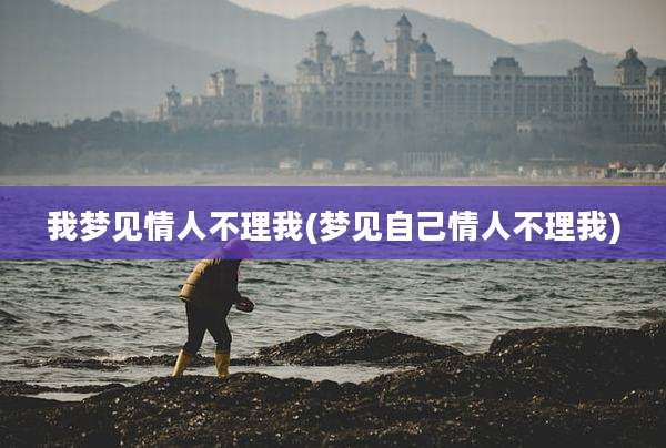 我梦见情人不理我(梦见自己情人不理我)