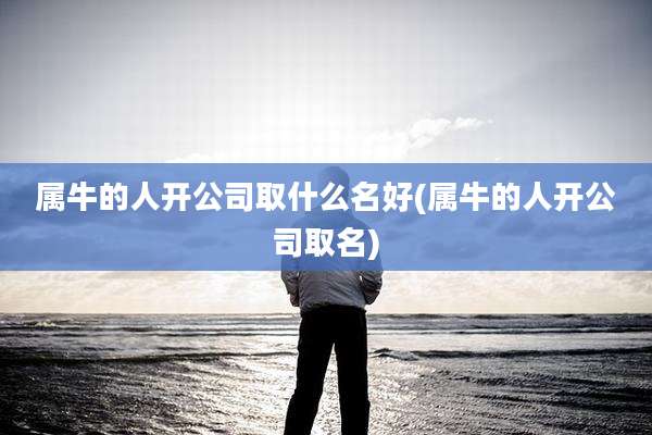 属牛的人开公司取什么名好(属牛的人开公司取名)