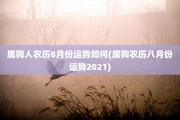 属狗人农历8月份运势如何(属狗农历八月份运势2021)