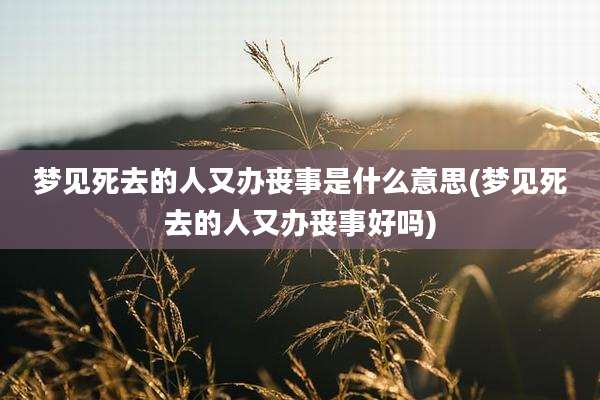 梦见死去的人又办丧事是什么意思(梦见死去的人又办丧事好吗)