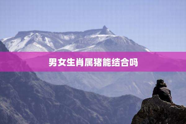 男女生肖属猪能结合吗