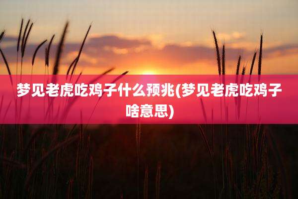 梦见老虎吃鸡子什么预兆(梦见老虎吃鸡子啥意思)