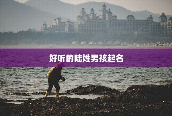 好听的陆姓男孩起名
