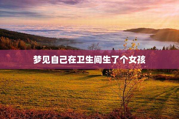 梦见自己在卫生间生了个女孩