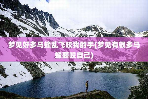 梦见好多马蜂乱飞咬我的手(梦见有很多马蜂要咬自己)