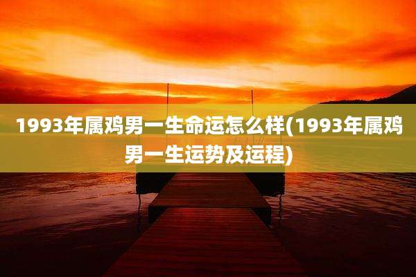 1993年属鸡男一生命运怎么样(1993年属鸡男一生运势及运程)