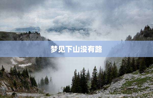 梦见下山没有路
