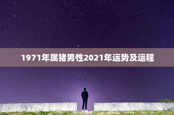 1971年属猪男性2021年运势及运程