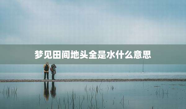 梦见田间地头全是水什么意思