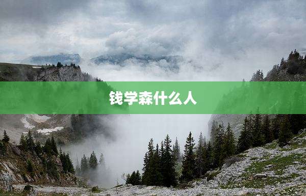 钱学森什么人