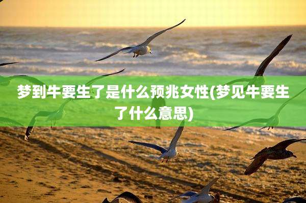 梦到牛要生了是什么预兆女性(梦见牛要生了什么意思)