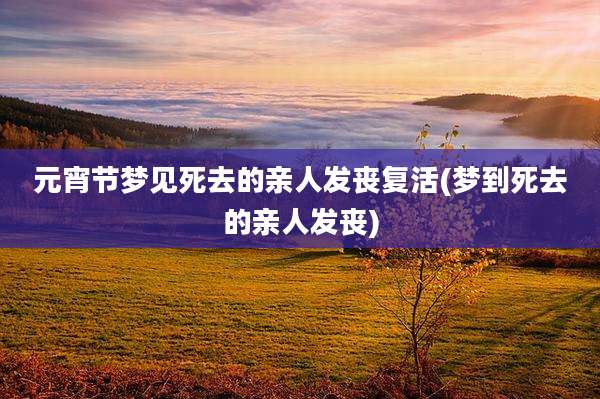 元宵节梦见死去的亲人发丧复活(梦到死去的亲人发丧)