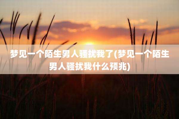 梦见一个陌生男人骚扰我了(梦见一个陌生男人骚扰我什么预兆)