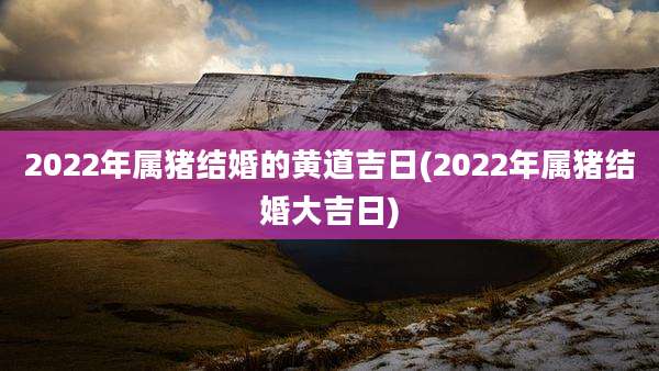 2022年属猪结婚的黄道吉日(2022年属猪结婚大吉日)