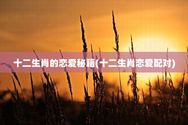十二生肖的恋爱秘籍(十二生肖恋爱配对)