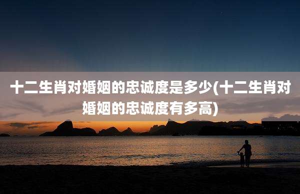 十二生肖对婚姻的忠诚度是多少(十二生肖对婚姻的忠诚度有多高)