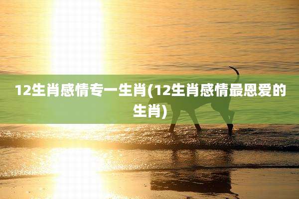 12生肖感情专一生肖(12生肖感情最恩爱的生肖)