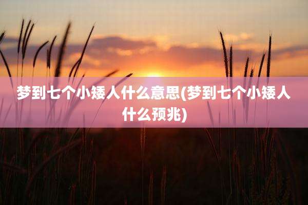 梦到七个小矮人什么意思(梦到七个小矮人什么预兆)