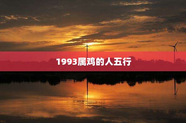 1993属鸡的人五行