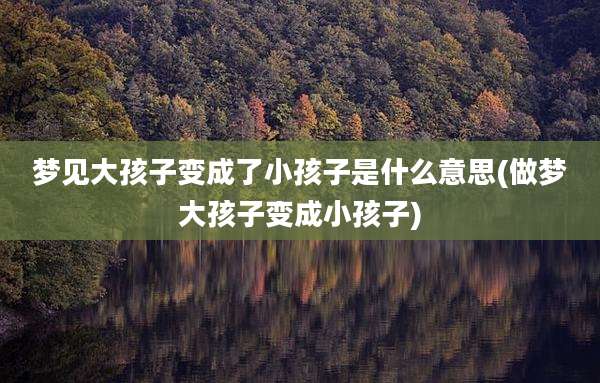 梦见大孩子变成了小孩子是什么意思(做梦大孩子变成小孩子)