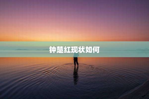 钟楚红现状如何