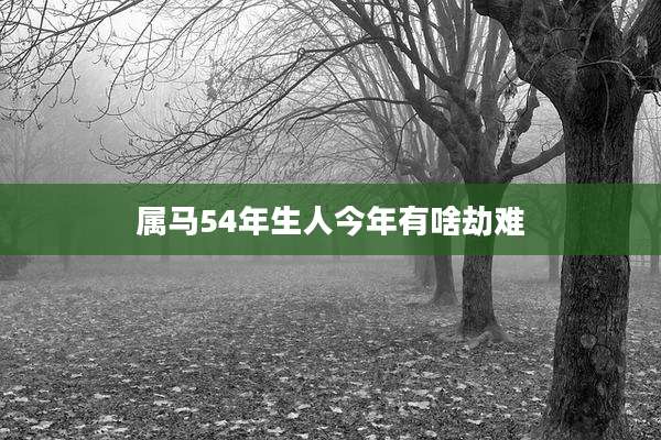属马54年生人今年有啥劫难