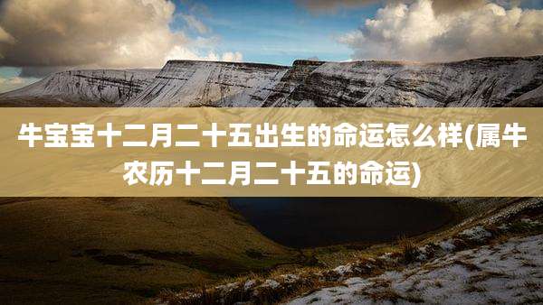 牛宝宝十二月二十五出生的命运怎么样(属牛农历十二月二十五的命运)