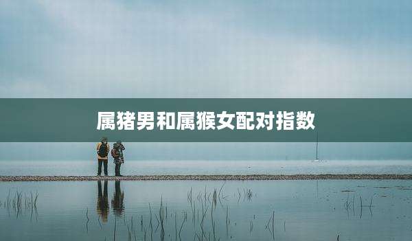 属猪男和属猴女配对指数